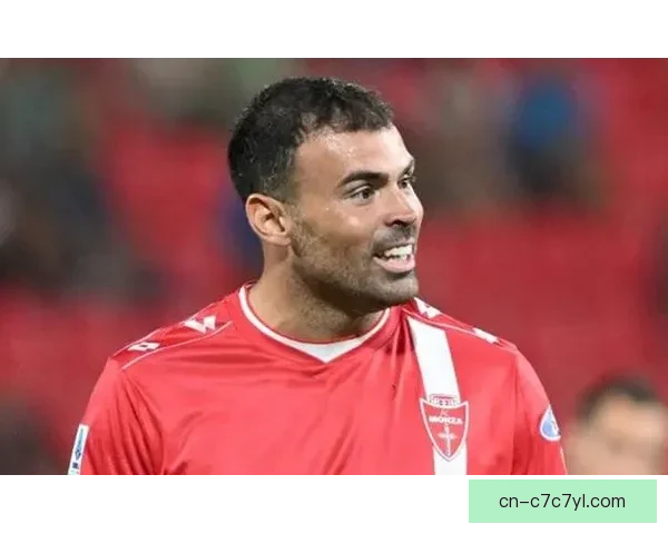 英超星意甲老将昔日新星维罗纳