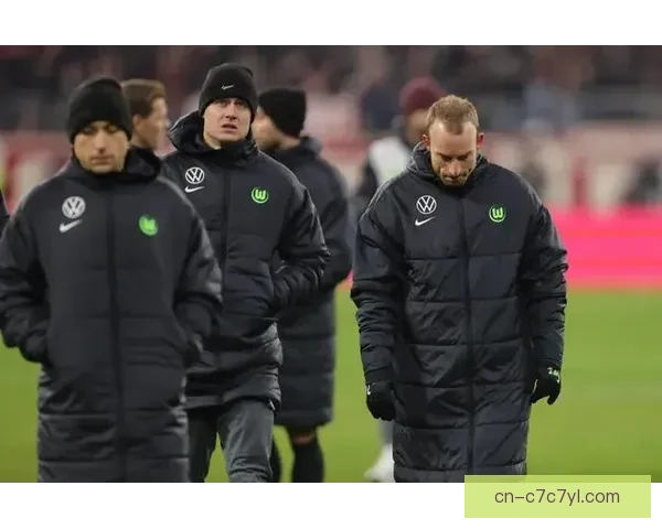 全球第二车企也难助德甲球队 全球第二车企也难助德甲球队